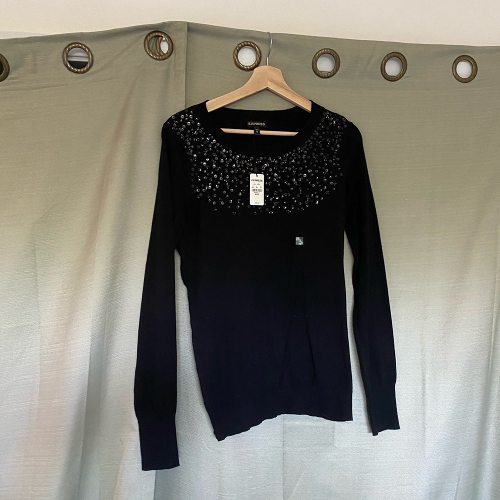 NWT Express sweater